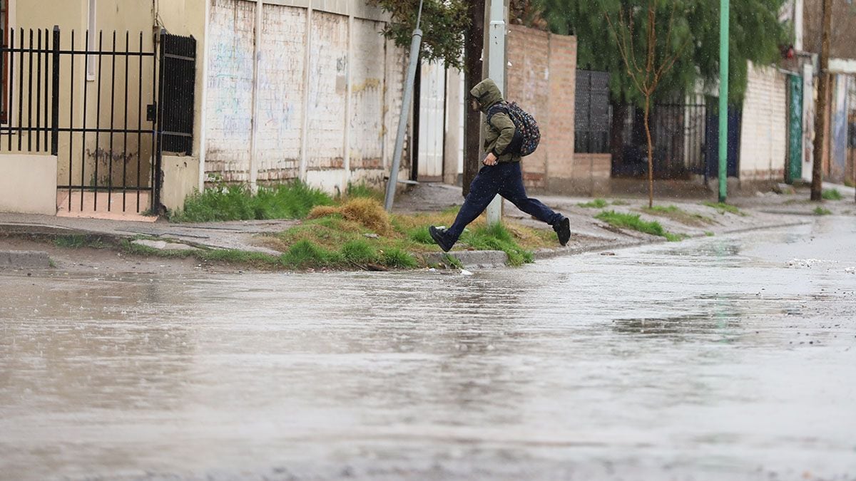 Neuquén bajo un manto blanco: la nieve se hace pesada y el termómetro, todavía más