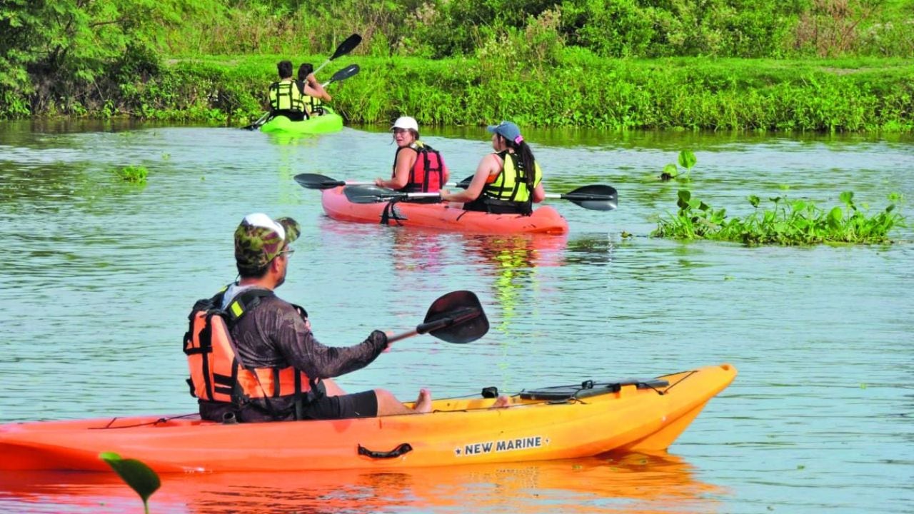 A remo por la Setúbal: 32 kilómetros cuadrados de agua rojiza para palistas y expertos