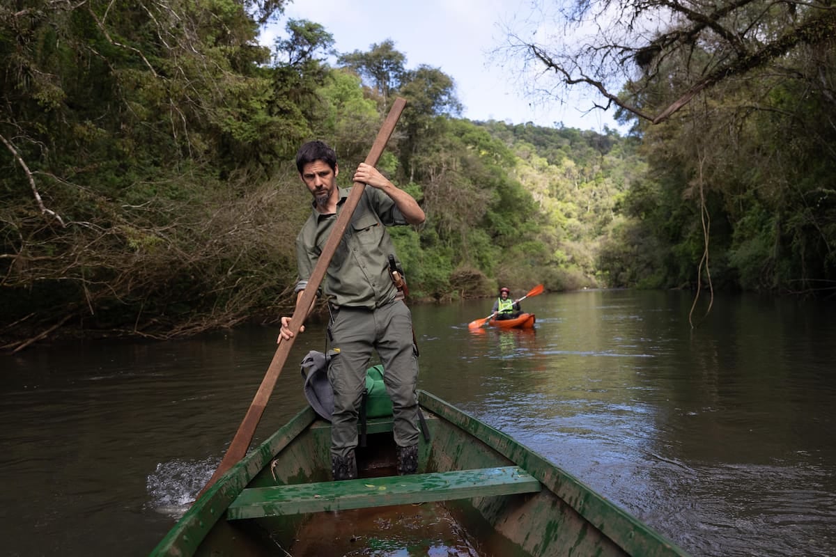 Margay: cabañas sobre el arroyo Paraíso y monte nativo a 40 kilómetros de El Soberbio
