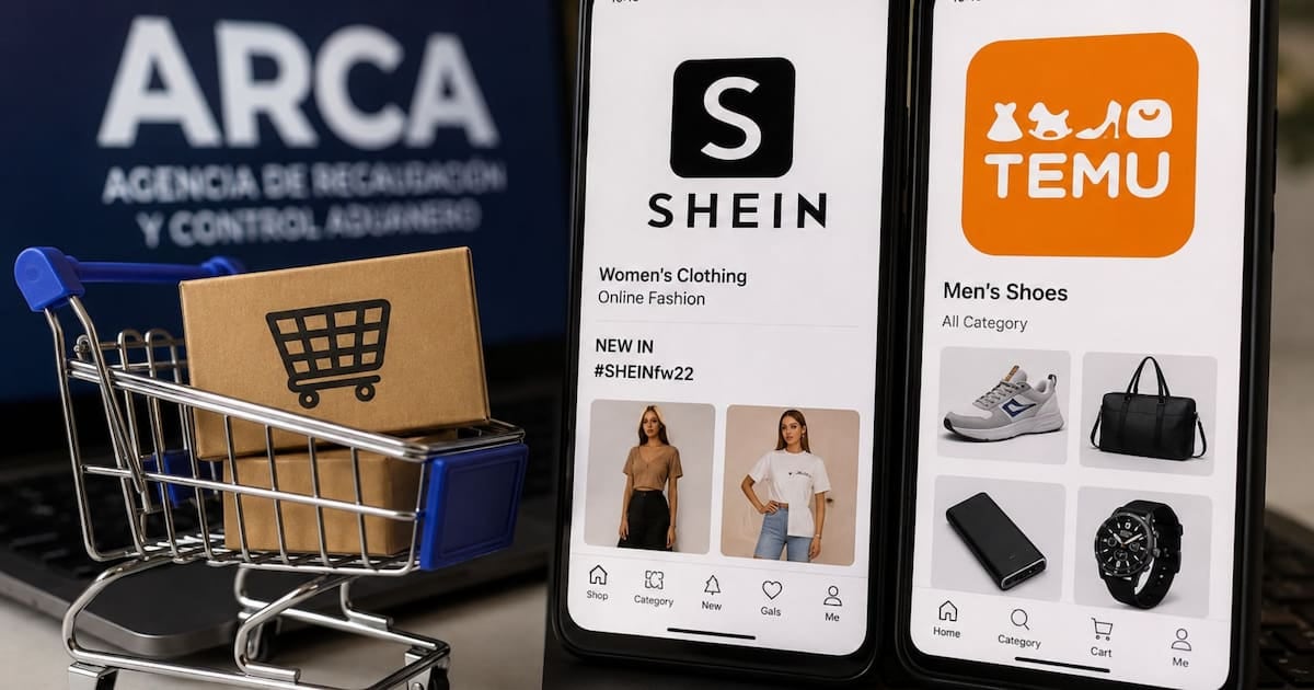 Compras en Shein y Temu: el cupo de cinco envíos anuales es compartido y no se renueva al cambiar de plataforma