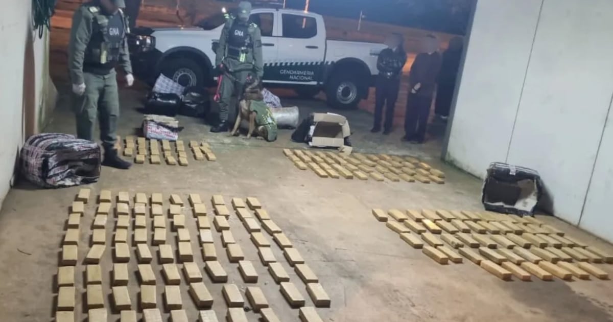 Gendarmería decomisó más de 142 kilos de marihuana en un micro de larga distancia que cubría la ruta Iguazú-Buenos Aires