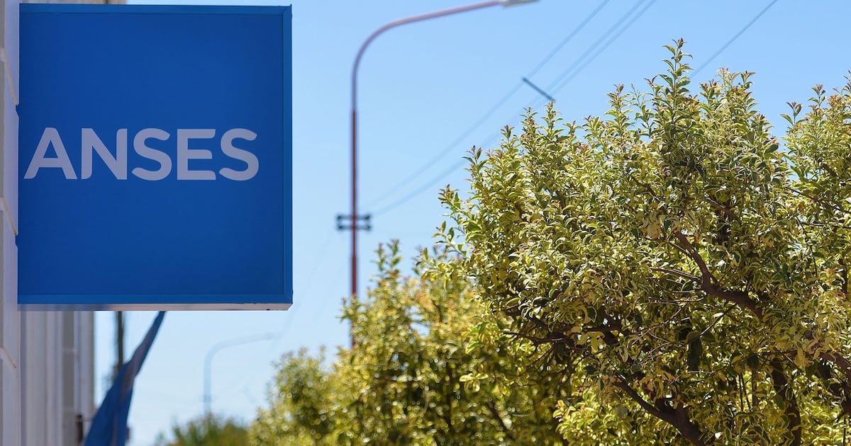 Calendario de pagos de ANSES para octubre: les toca a los DNI terminados en 2