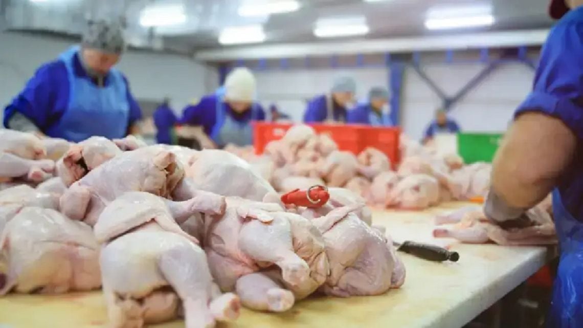 Por primera vez, el consumo anual de pollo superó al de carne vacuna en la Argentina