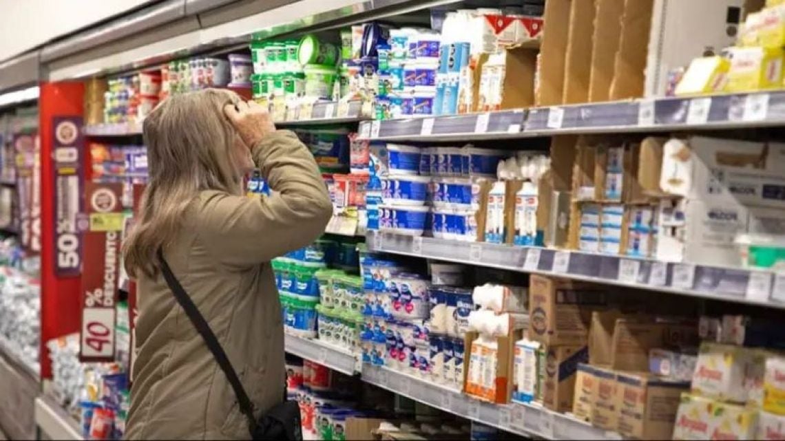 Ocho de cada diez hogares argentinos debieron financiarse para acceder a la comida en septiembre, según el IETSE