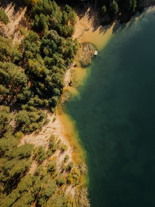 La isla Santa Teresita: una capilla de madera de 1933 sobrevive en el lago Lácar y se visita solo por agua