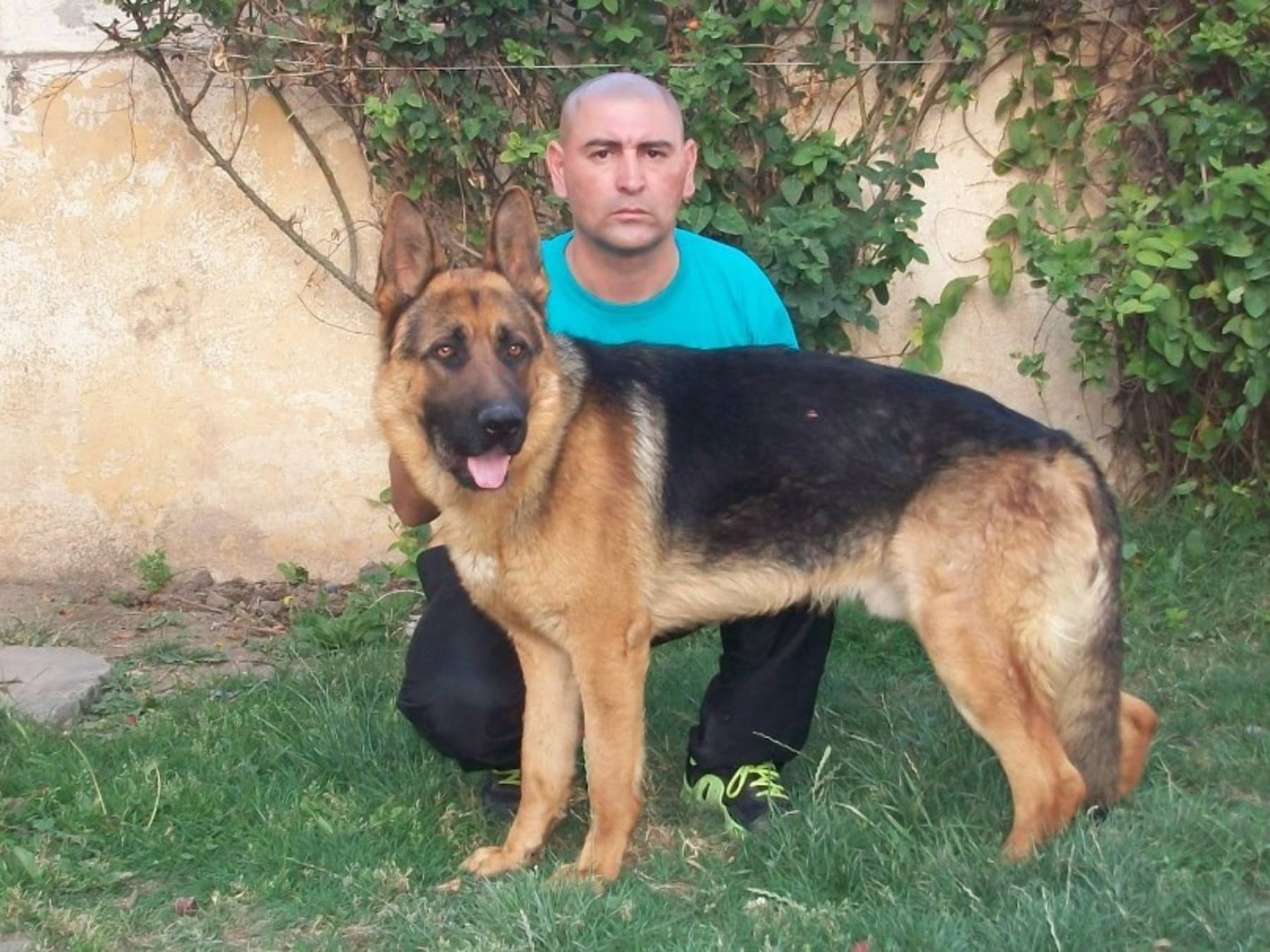 Un adiestrador con perros bajo sospecha: un juicio en 2027 pone en revisión las pruebas del caso Fulles