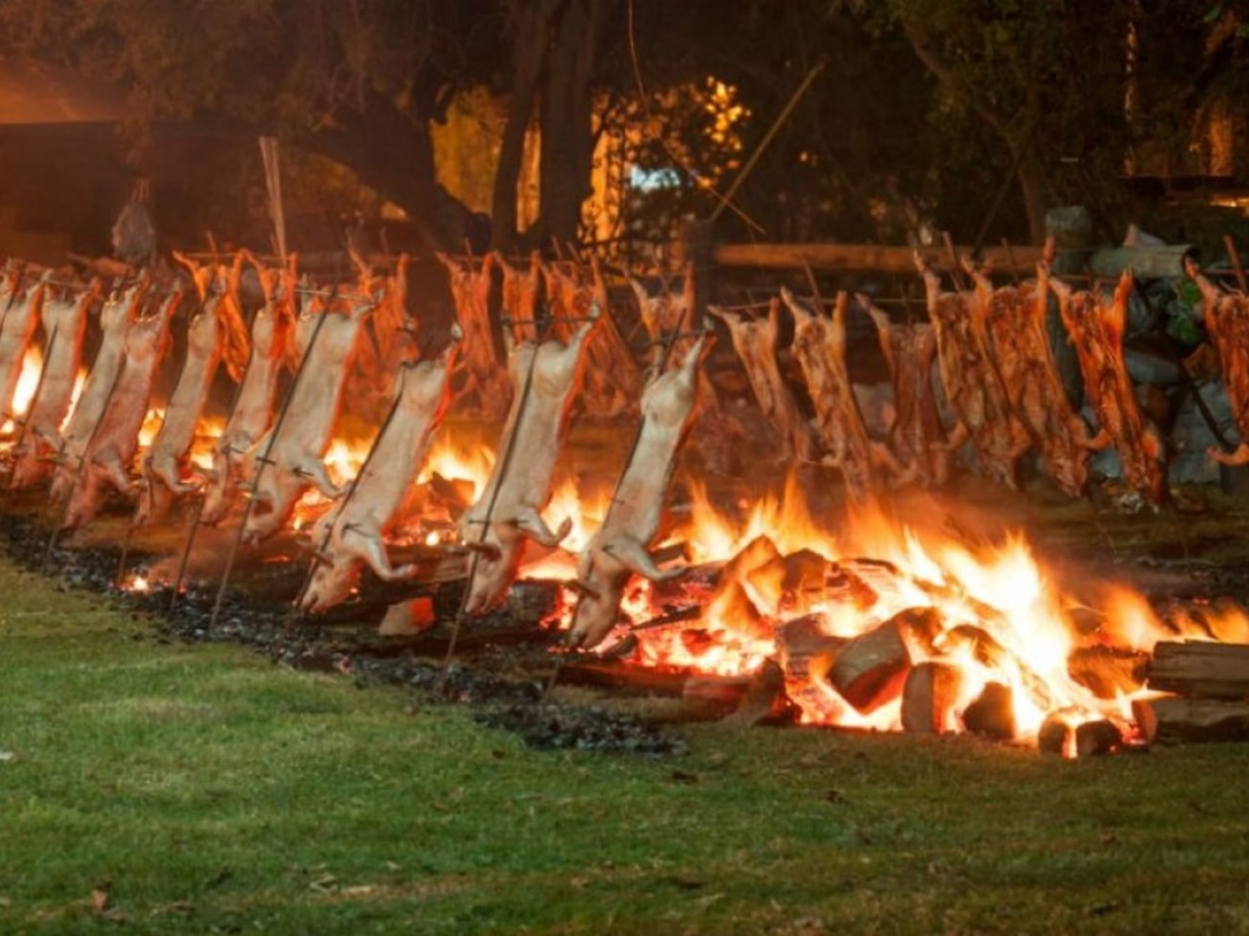 Un feriado para recorrer la provincia de Buenos Aires con el paladar y la como guía