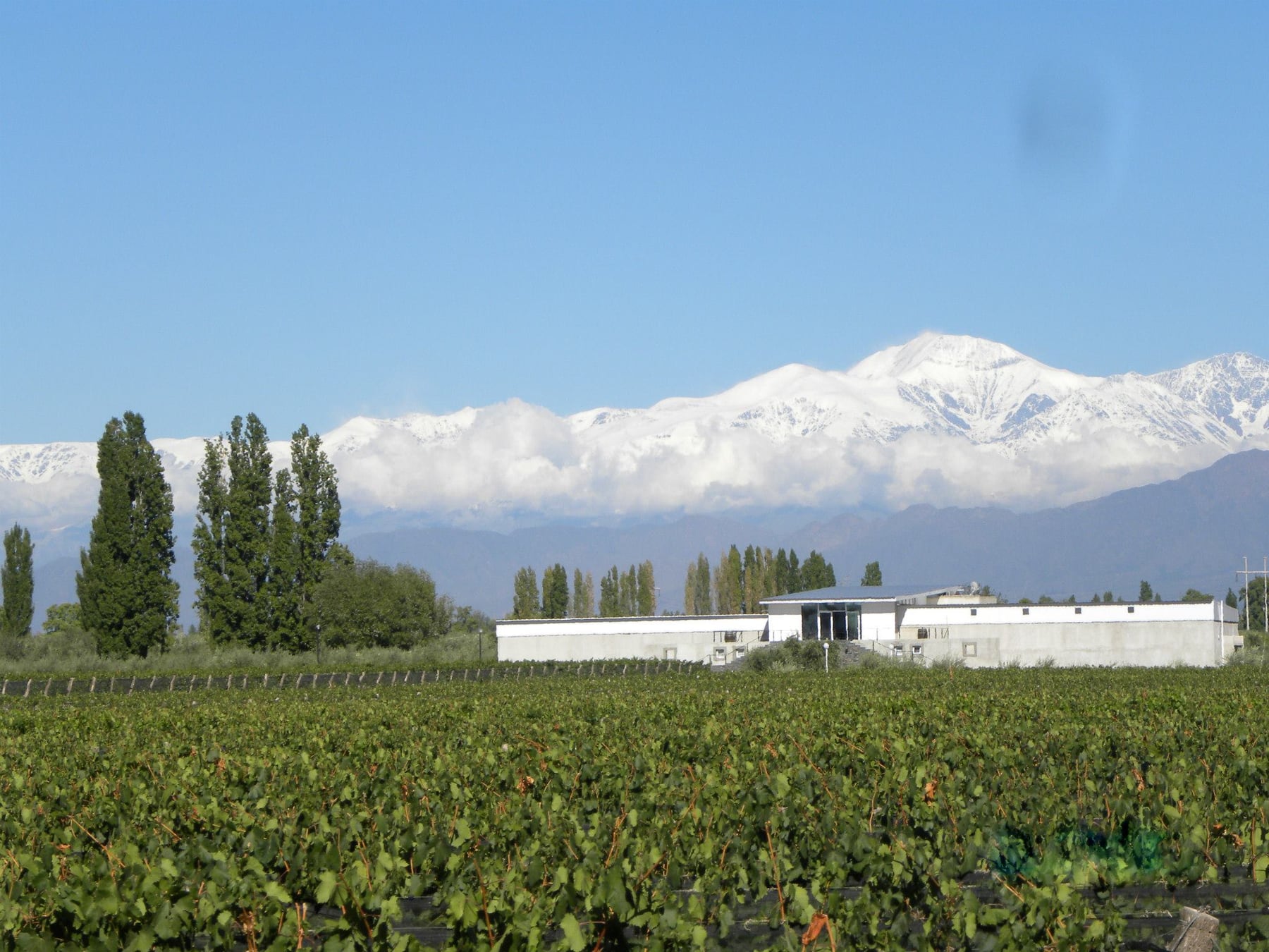 Chacras de Coria pasó de parada bodeguera a destino completo: hoteles boutique, dos Llaves Michelin y el Sunsetstrip como imán para miles