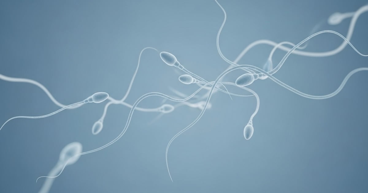 Un hospital británico reimplanta tejido testicular criopreservado a un paciente oncológico y abre una expectativa de fertilidad