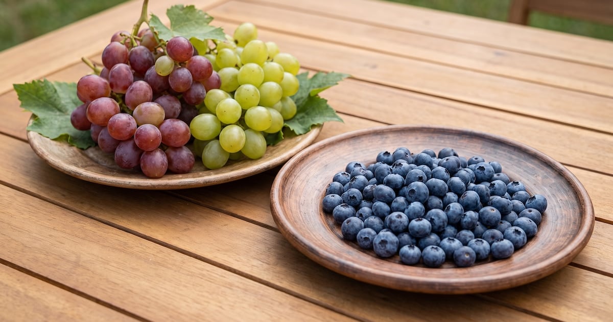 Arándanos o uvas: la pulseada por la glucosa y por qué la fibra manda