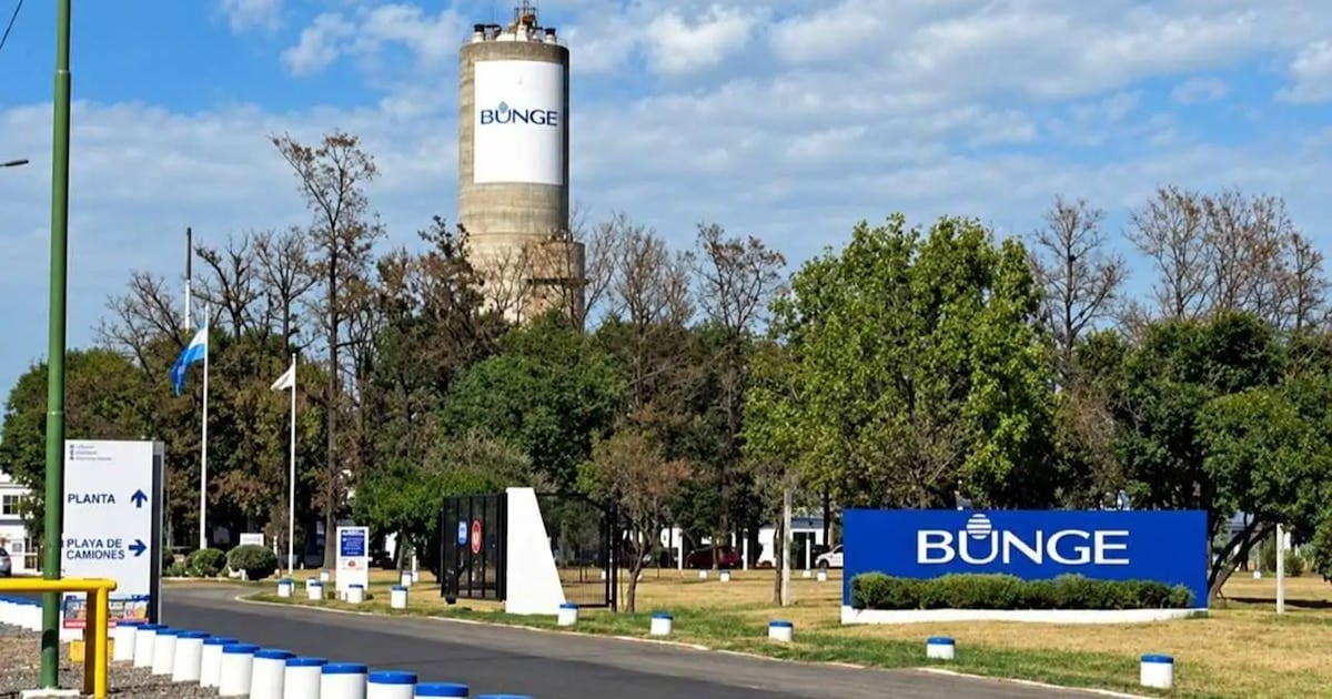 Campana: una empresa agroindustrial interrumpe su producción química y despide a 110 personas